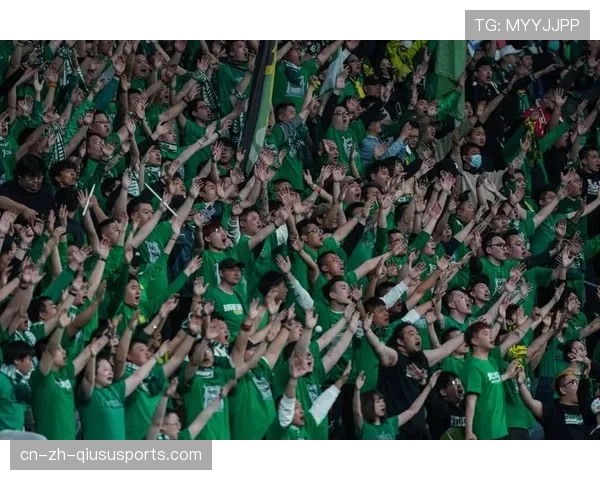 德甲球场平均上座率领先 球迷文化成联赛重要财富